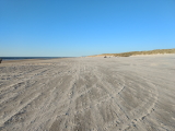 sand-Strand (5)